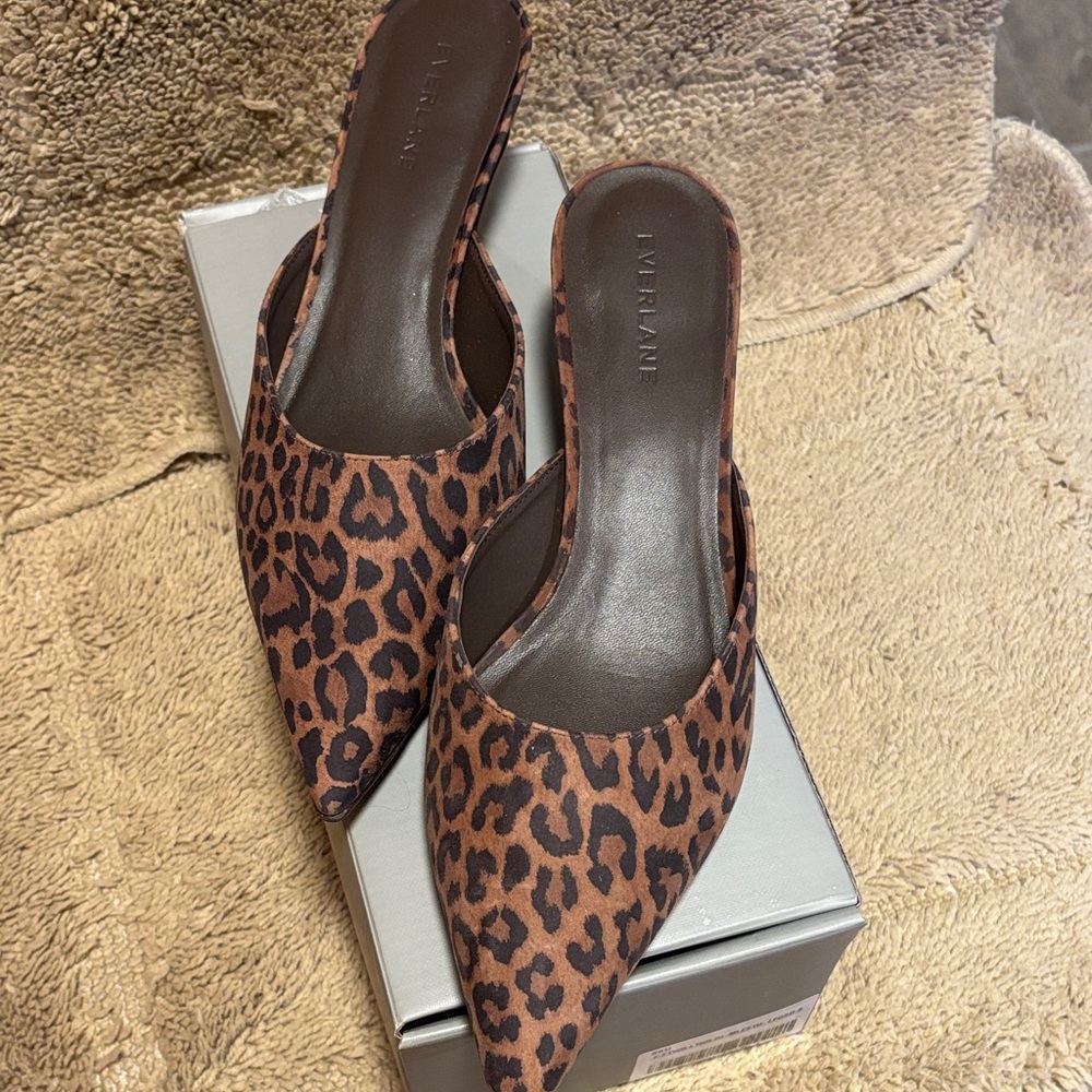 Everlane Leopard-Print Pointed-Toe Mule in Brown and Black